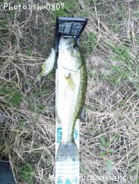 ¥Ö¥é¥Ã¥¯¥Ð¥¹