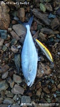 �������ĥ�