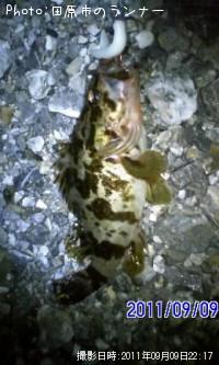 �����Υ���Х�