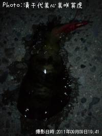 ¥¢¥ª¥ê¥¤¥«