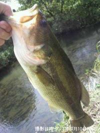 �֥�å��Х�