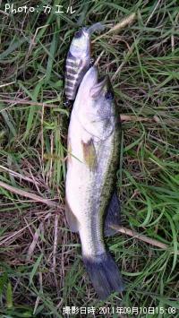 �֥�å��Х�