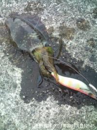 �����ꥤ��