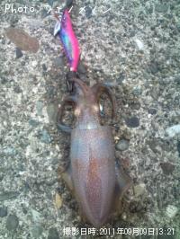 ¥¢¥ª¥ê¥¤¥«