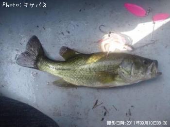 �֥�å��Х�