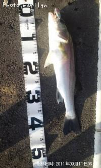 �����Х�