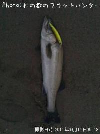 �����Х�