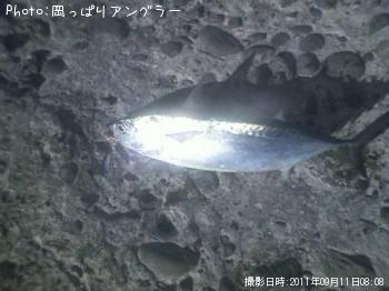 ���������ĥ�