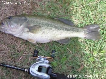 �֥�å��Х�