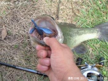 �֥�å��Х�