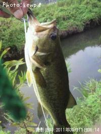 ¥Ö¥é¥Ã¥¯¥Ð¥¹