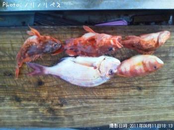 �ޥ��������