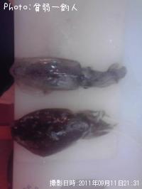 �����ꥤ��