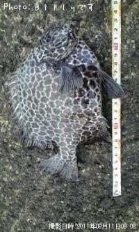 ������������