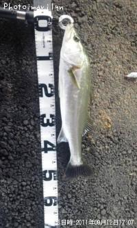 �����Х�