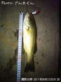 �֥�å��Х�