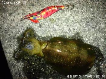 ¥¢¥ª¥ê¥¤¥«