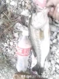 �֥�å��Х�