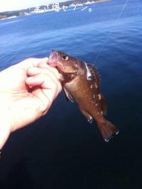 ������Х�