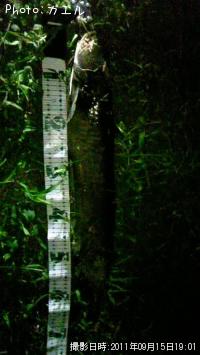 �ʥޥ��󥺥�