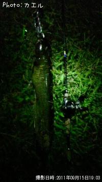 �ʥޥ��󥺥�