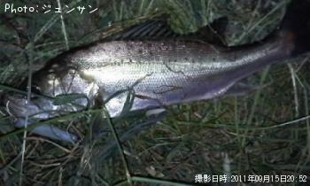 �����Х�