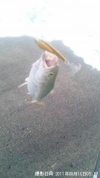 ¥¢¥ª¥Ã¥³