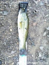 �֥�å��Х�