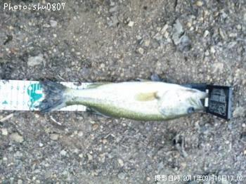 �֥�å��Х�