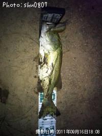 �֥�å��Х�