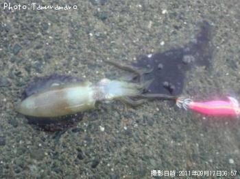 �����ꥤ��