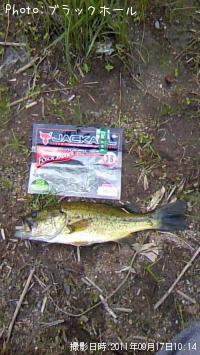 ¥Ö¥é¥Ã¥¯¥Ð¥¹