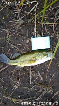 �֥�å��Х�