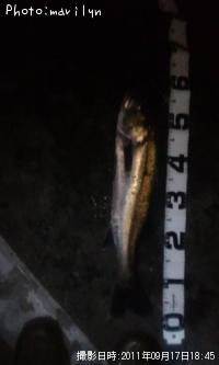 �����Х�