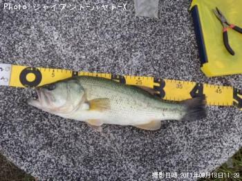 ¥Ö¥é¥Ã¥¯¥Ð¥¹