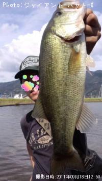 �֥�å��Х�