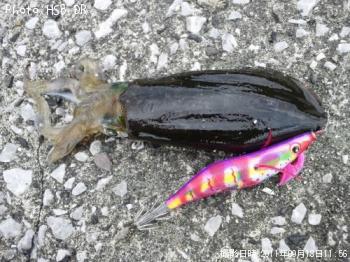 �����ꥤ��