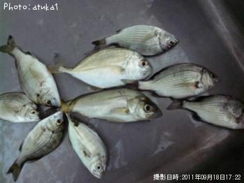 �ߥˤ�������