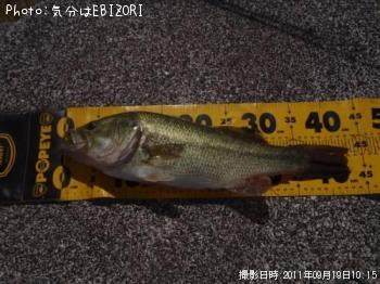 �֥�å��Х�