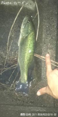 �֥�å��Х�