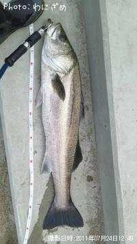 �����Х�