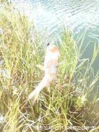 ¥Ö¥é¥Ã¥¯¥Ð¥¹