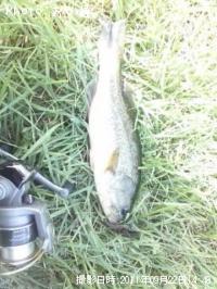 ¥Ö¥é¥Ã¥¯¥Ð¥¹