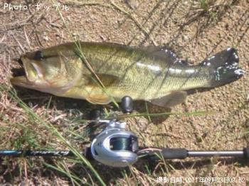 �֥�å��Х�