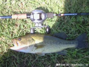 ¥Ö¥é¥Ã¥¯¥Ð¥¹