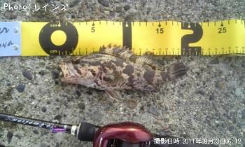 ¥¿¥±¥Î¥³¥á¥Ð¥ë