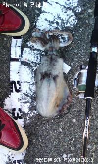 ¥¢¥ª¥ê¥¤¥«