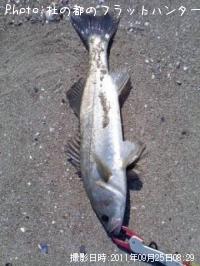 �����Х�