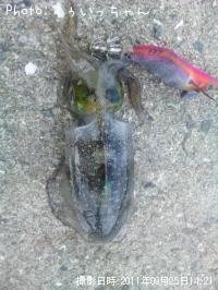 �����ꥤ��