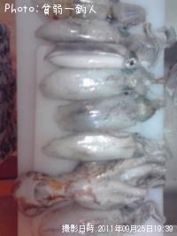 ¥¢¥ª¥ê¥¤¥«¤È¥¿¥³¤À¤è¡Ê¾Ð¡Ë